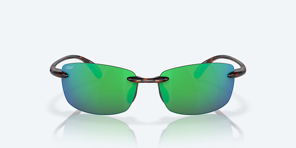 Ballast Tortoise w/ Green Mirror 580P