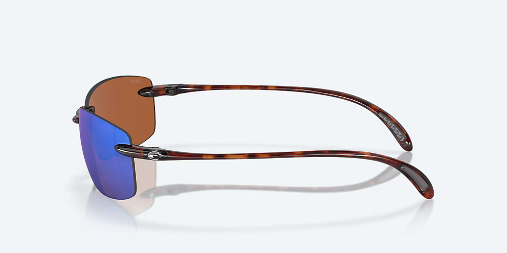 Ballast Tortoise w/ Green Mirror 580P