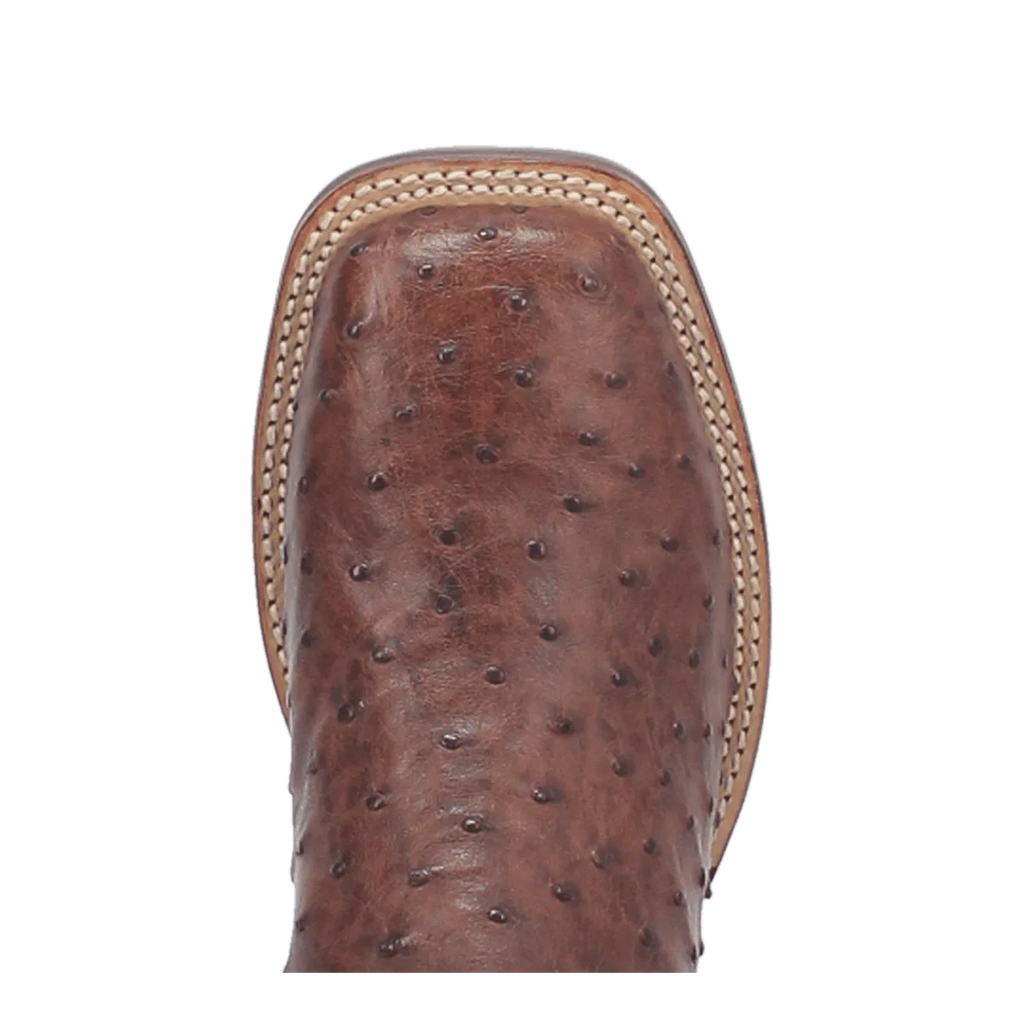 Alamosa Full Quill Ostrich Boot