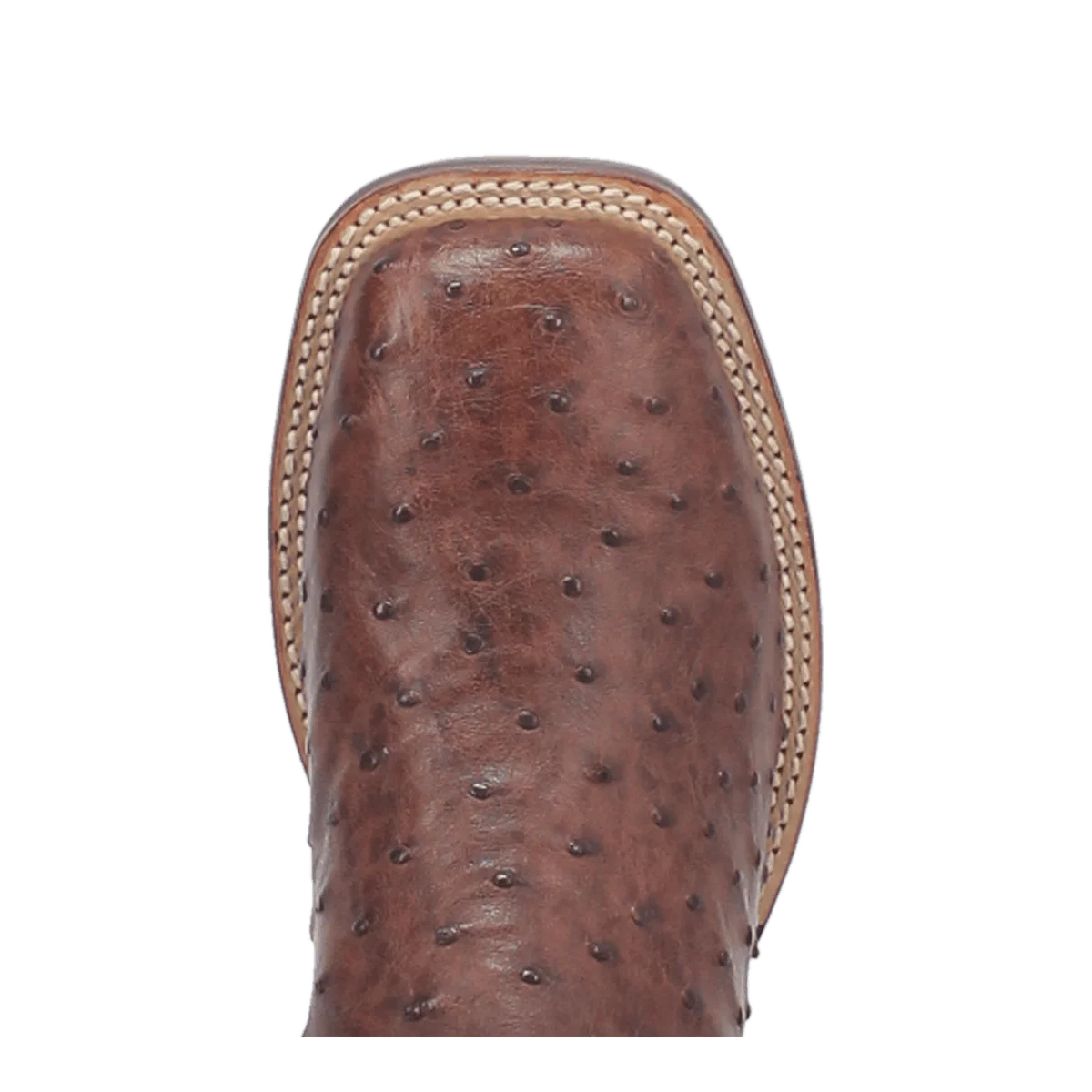 Alamosa Full Quill Ostrich Boot