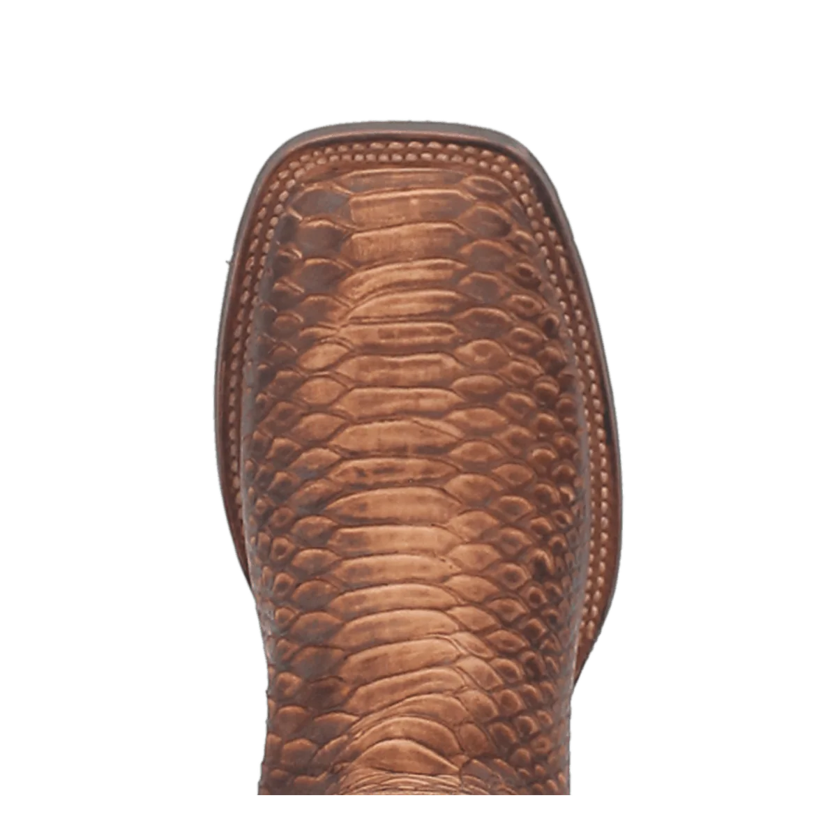Ka Faux Python Print Leather Boot
