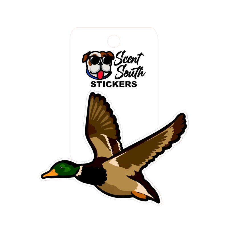 Mallard Sticker