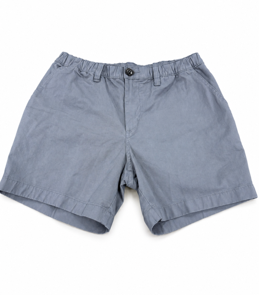 The Silver Linings 5.5” Stretch Short