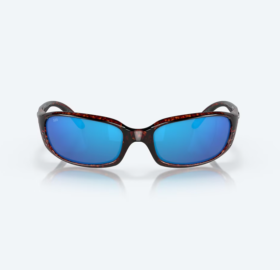 Brine Tortoise w/ Blue Mirror