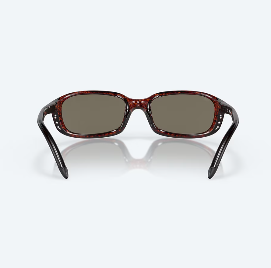Brine Tortoise w/ Blue Mirror