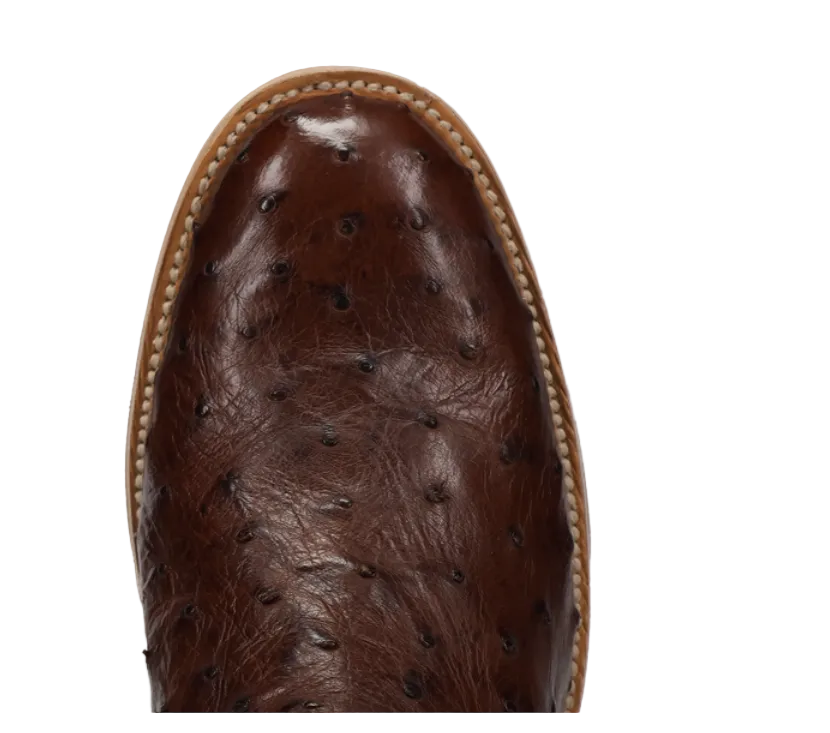 Ardor Full Quill Ostrich Boot - Brass
