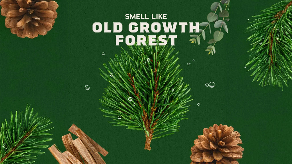 Dr. Squatch Pine Tar - Men's Natural Soap