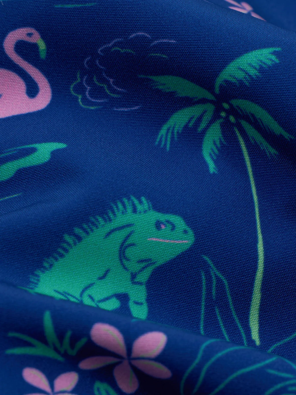 The Swamp & Circumstances 5.5” Classic Swim Trunk